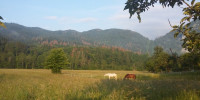 ŠVN - 2. razred 2016